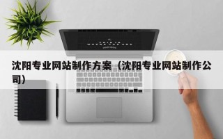 合肥沈阳专业网站制作方案（沈阳专业网站制作公司）